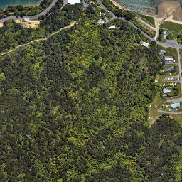 Satellite imagery of 2133, NZ