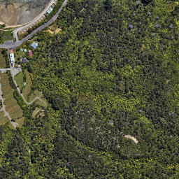 Satellite imagery of 2133, NZ