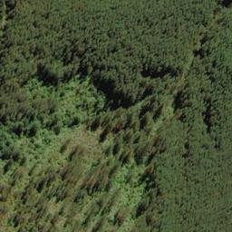 Satellite imagery of G RAHOTIA, NZ