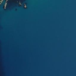 Satellite imagery of Bushy Point, NZ