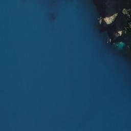 Satellite imagery of Bushy Point, NZ