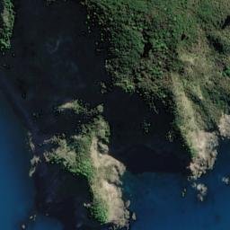 Satellite imagery of Bushy Point, NZ