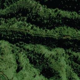Satellite imagery of 2216, NZ