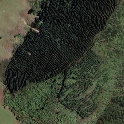 Satellite imagery of 2111, NZ