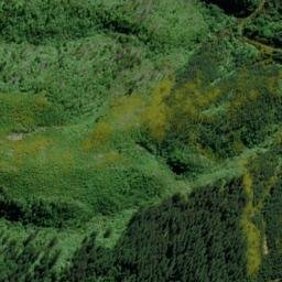 Satellite imagery of 2216, NZ