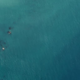 Satellite imagery of Opopo, NZ