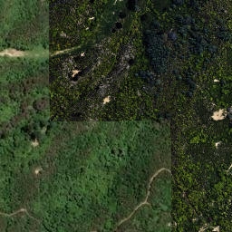 Satellite imagery of REF TAKORIKA, NZ