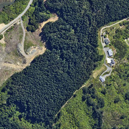 Satellite imagery of 2213, NZ