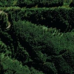 Satellite imagery of 2216, NZ
