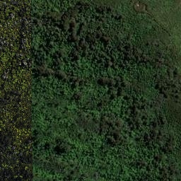 Satellite imagery of REF TAKORIKA, NZ