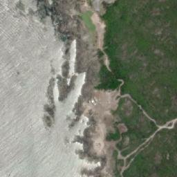 Satellite imagery of Gannet Point, AU