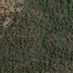 Satellite imagery of Doctors Rise, AU