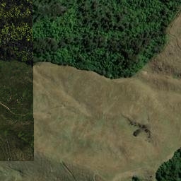 Satellite imagery of REF TAKORIKA, NZ