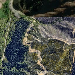 Satellite imagery of Willawa Point, NZ
