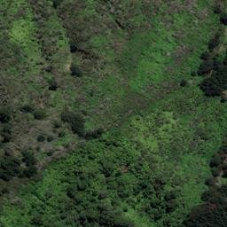 Satellite imagery of 2131, NZ
