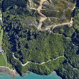 Satellite imagery of Willawa Point, NZ