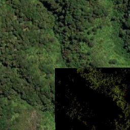 Satellite imagery of TAKORIKA, NZ