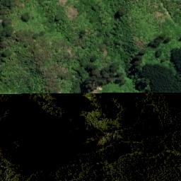 Satellite imagery of TAKORIKA, NZ