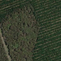 Satellite imagery of Dulverton Hill, AU