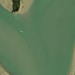 Satellite imagery of Martin Point, NZ