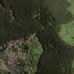 Satellite imagery of Cummins Spur, NZ