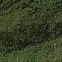 Satellite imagery of Murderers Rock, NZ
