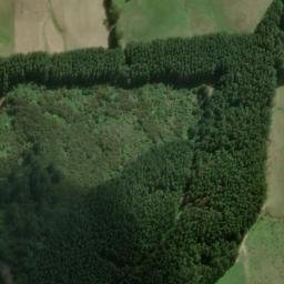 Satellite imagery of 2112, NZ