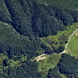 Satellite imagery of 2217, NZ