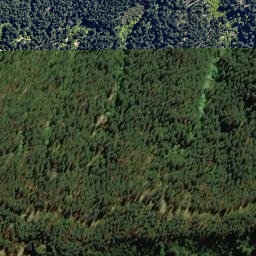 Satellite imagery of 2217, NZ