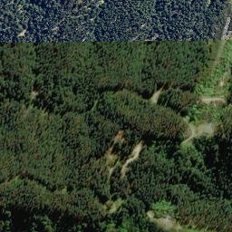 Satellite imagery of 2217, NZ