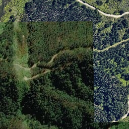 Satellite imagery of Separation Point, NZ