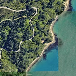 Satellite imagery of Separation Point, NZ
