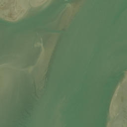 Satellite imagery of Martin Point, NZ