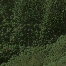 Satellite imagery of Murderers Rock, NZ