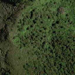 Satellite imagery of H (Wakamarina SD), NZ