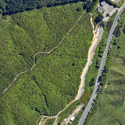 Satellite imagery of 2219, NZ