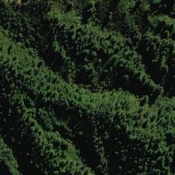 Satellite imagery of 2217, NZ