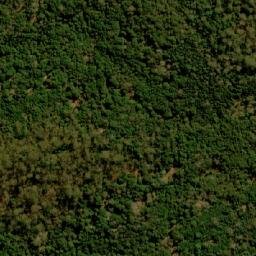 Satellite imagery of Wayback Hill, AU