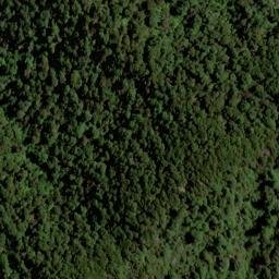 Satellite imagery of H (Wakamarina SD), NZ