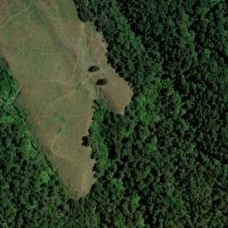 Satellite imagery of Y (Linkwater SD), NZ