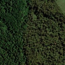 Satellite imagery of Y (Linkwater SD), NZ