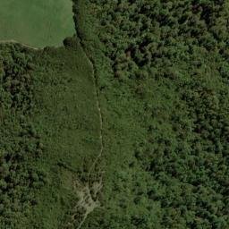 Satellite imagery of Y (Linkwater SD), NZ