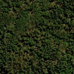 Satellite imagery of Wayback Hill, AU