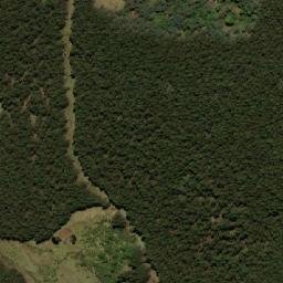 Satellite imagery of Cottons Hill, AU