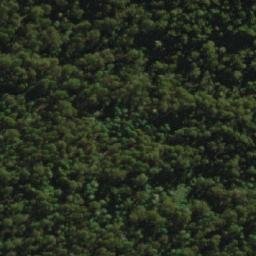 Satellite imagery of Rayners Hill, AU