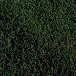 Satellite imagery of Y (Linkwater SD), NZ