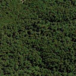 Satellite imagery of Y (Linkwater SD), NZ