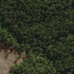 Satellite imagery of Rayners Hill, AU