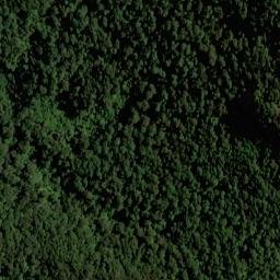 Satellite imagery of Y (Linkwater SD), NZ