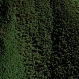 Satellite imagery of Y (Linkwater SD), NZ
